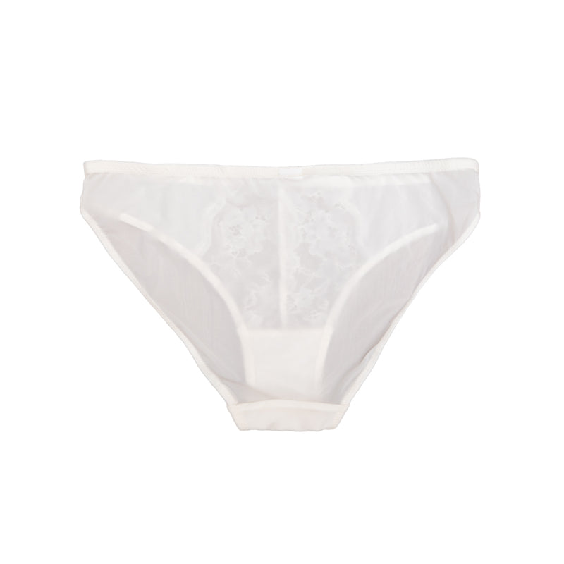 Anne Briefs