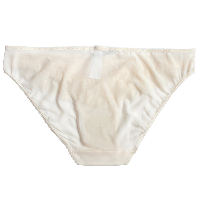 Alice Briefs | Silver Lining Lingerie