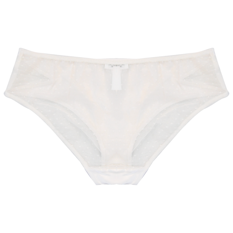 Perrie Briefs | Silver Lining Lingerie
