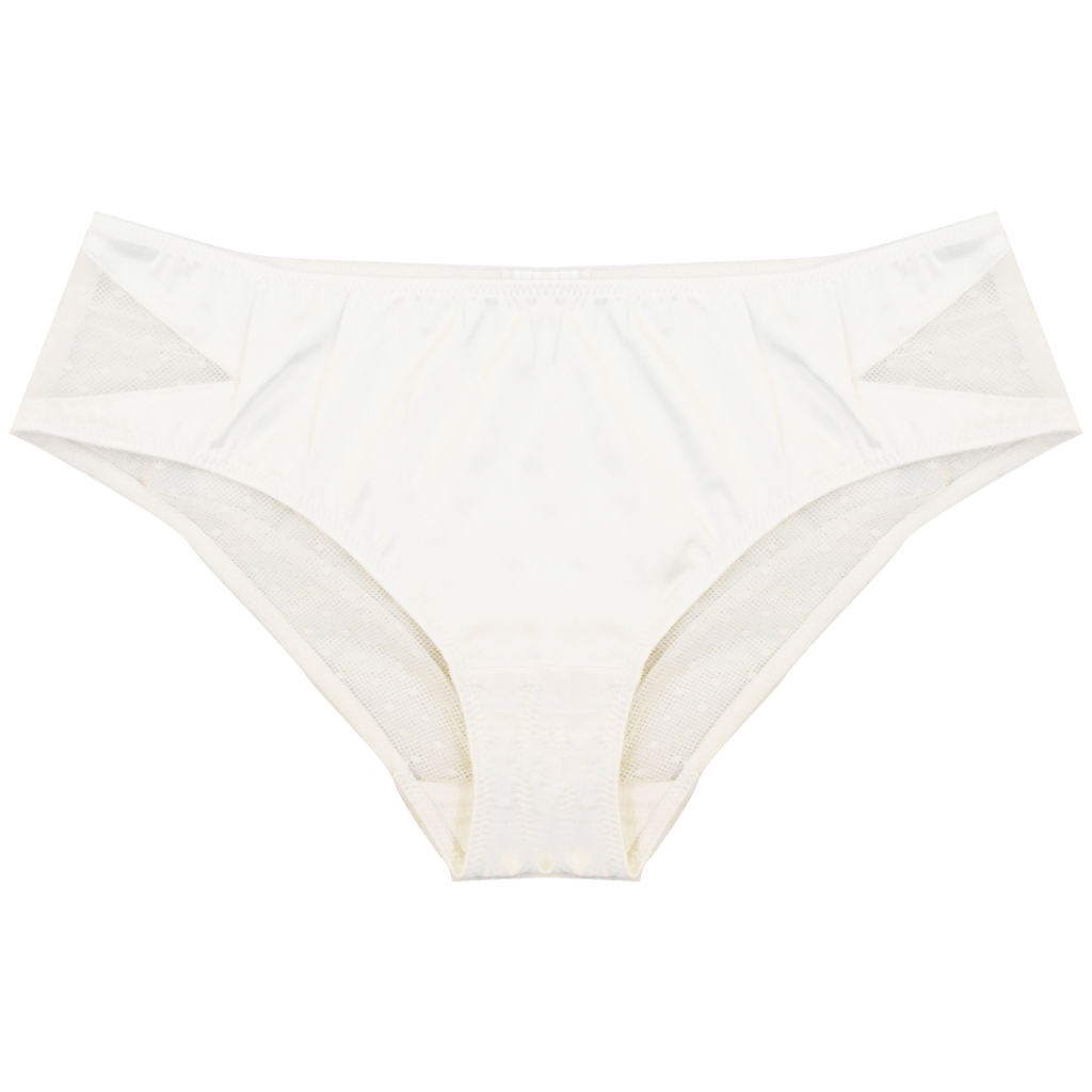 Perrie Briefs | Silver Lining Lingerie
