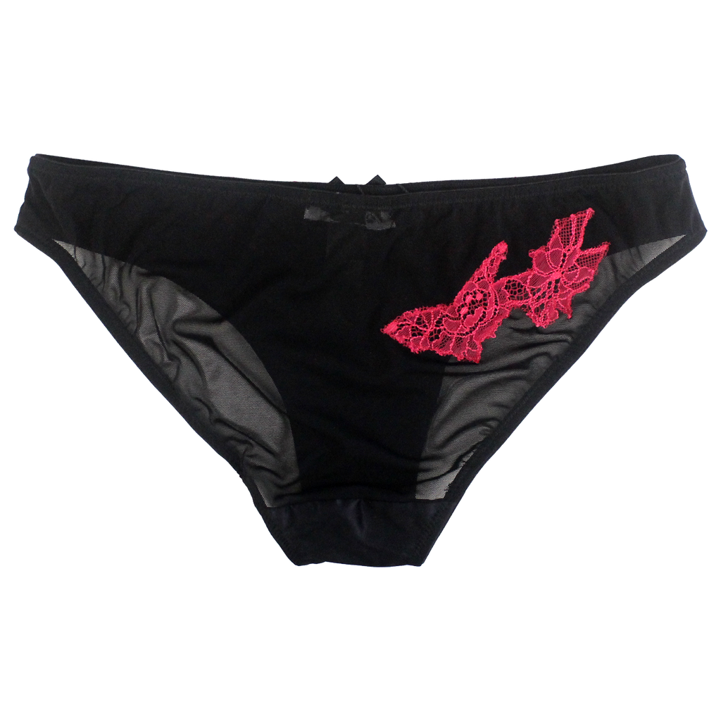 Scarlet Briefs | Silver Lining Lingerie